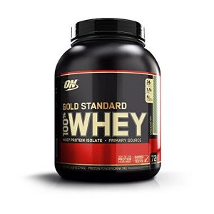 Optimum Nutrition Gold Standard 100% Whey Protein 2273 g - Chocolate Mint