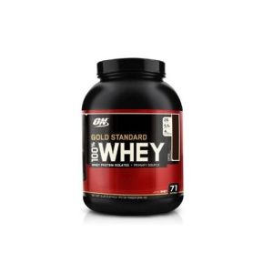 Optimum Nutrition Gold Standard 100% Whey Protein 2273g Chocolate Peanut Butter 