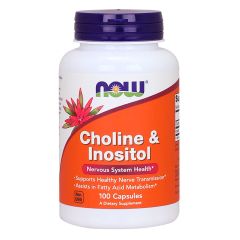 NOW FOODS Choline and Inositol 500mg 100 capsule - VITAMINE