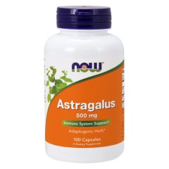 NOW FOODS Astragalus Extract 500mg - 100 vcaps - Supporto immunitario